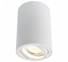 Накладной светильник Arte Lamp Sentry A1560PL-1WH