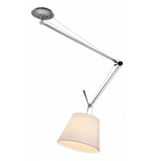 Светильник на штанге ST-Luce Reduzion SL464.103.01