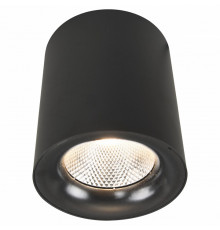 Накладной светильник Arte Lamp Facile A5118PL-1BK