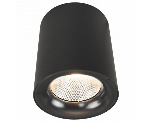 Накладной светильник Arte Lamp Facile A5118PL-1BK