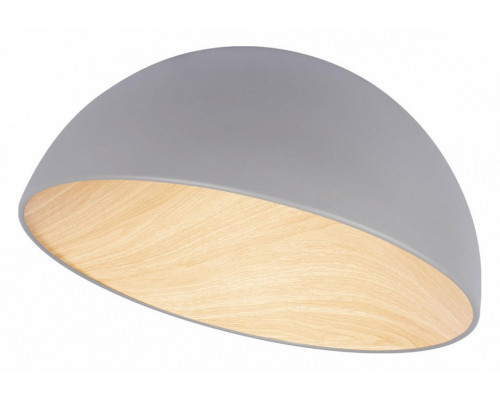 Накладной светильник Loft it Egg 10197/500 Grey