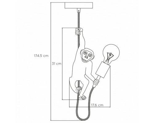Подвесной светильник Lucide Extravaganza Chimp 10402/01/30