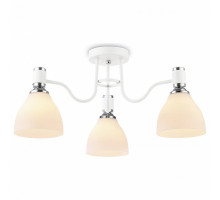 Потолочная люстра Ambrella Light TR TR303302