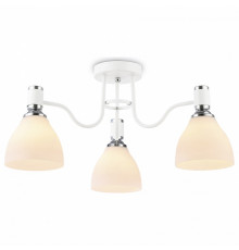 Потолочная люстра Ambrella Light TR TR303302