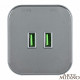 Розетка 2xUSB на треке Arte Milano Am-track-sockets 380022TS/USBx2 Grey