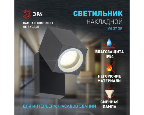 Светильник на штанге Эра WL37 GR Б0054409