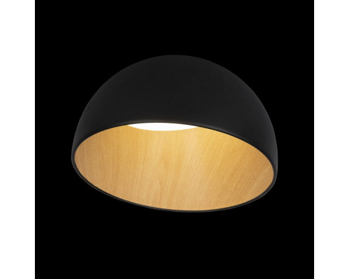 Накладной светильник Loft it Egg 10197/350 Black