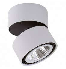 Светильник на штанге Lightstar Forte Muro LED 213839