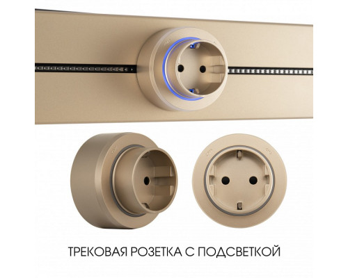 Розетка с заземлением на треке Arte Milano Am-track-sockets-39 397951TS/ES Gold