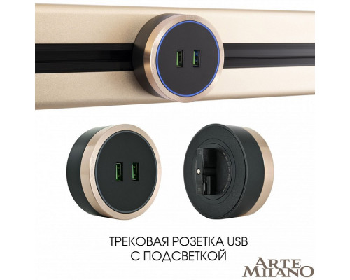 Розетка 2xUSB на треке Arte Milano Am-track-sockets 380066TS LED/USBx2 Gold