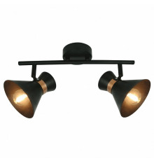 Спот Arte Lamp Baltimore A1406AP-2BK