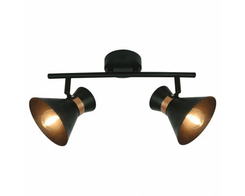 Спот Arte Lamp Baltimore A1406AP-2BK