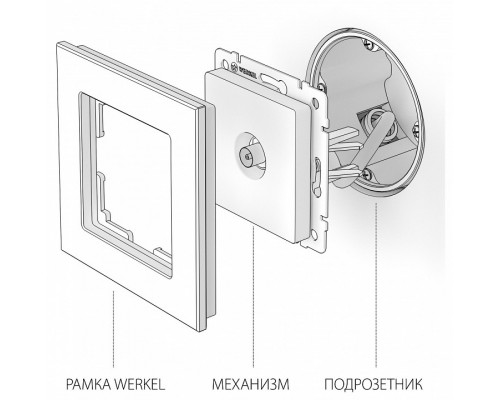 ТВ-розетка Werkel белый W1184001