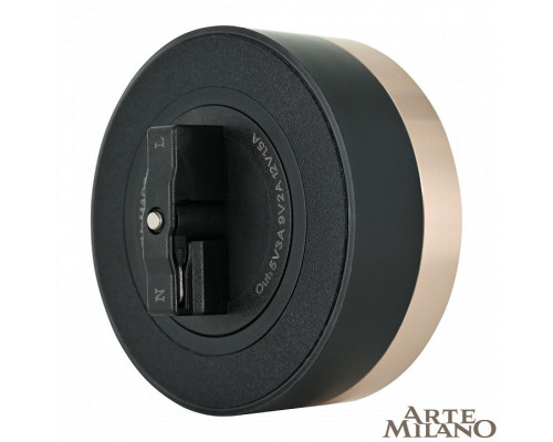 Розетка USB и type C на треке Arte Milano Am-track-sockets 380066TS LED/USB-Type-C Gold