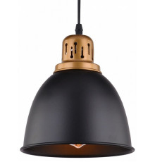 Подвесной светильник Arte Lamp Eurica A4245SP-1BK