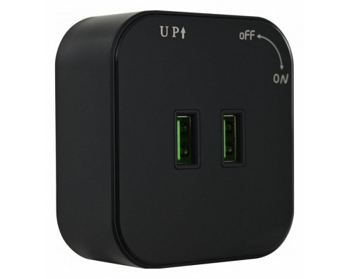 Розетка 2xUSB на треке Arte Milano Am-track-sockets 380022TS/USBx2 Black