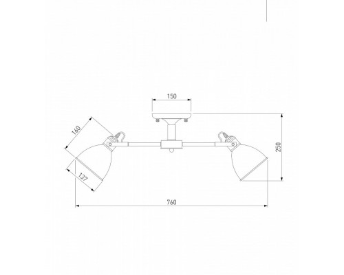 Люстра на штанге Eurosvet Denley 70112/8 черный