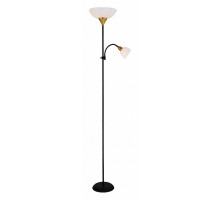 Торшер с подсветкой Arte Lamp Duetto A9569PN-2BK