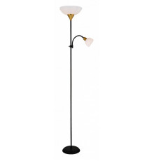 Торшер с подсветкой Arte Lamp Duetto A9569PN-2BK